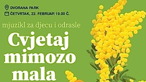 Mjuzikl "Cvetaj mimozo mala"